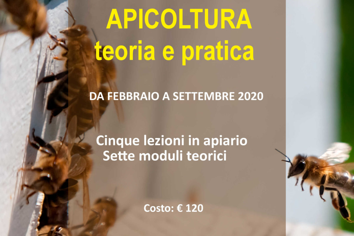 CORSO DI APICOLTURA 2020