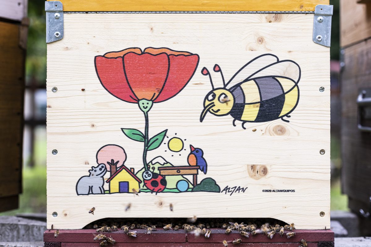 Storie sorprendenti delle api e dei loro parenti – Parte 5