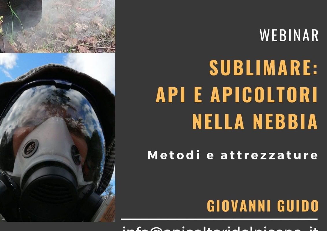 Api e apicoltori nella nebbia.