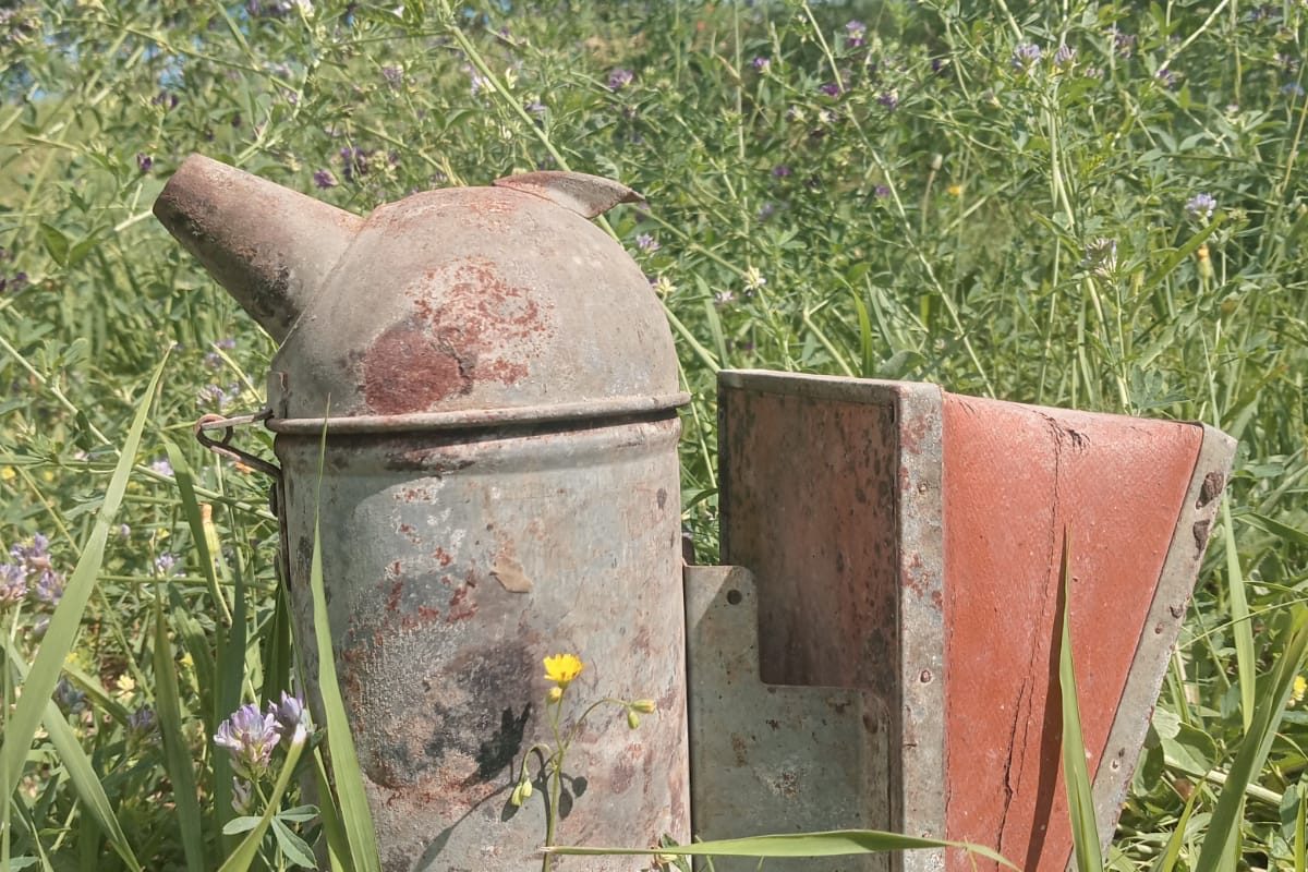 LA FOTO DEL MESE/GIUGNO