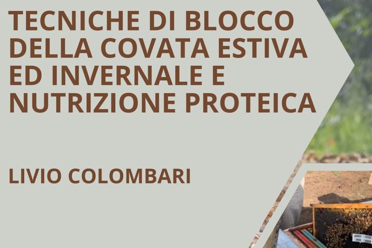 Blocchi di covata. Seminario di aggiornamento.